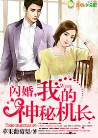 闪婚的神秘老公 免费阅读