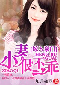 豪门小老婆!