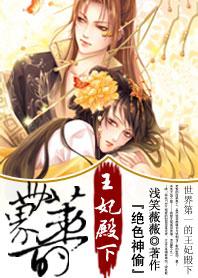 绝色神偷简介