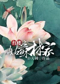红楼之林家姑姑格格