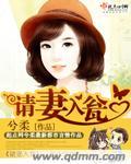 请妻入婚