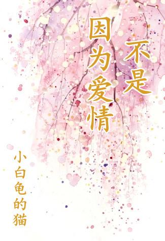 不是因为爱情简介