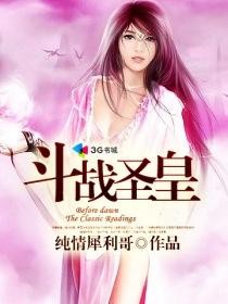 斗战圣皇无删减版