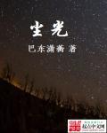 尘光成诏