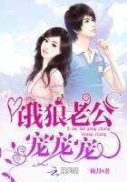 饿狼老公宠宠宠未删减版