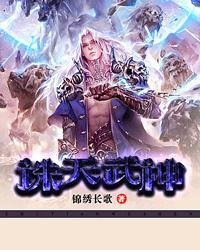 诛天武帝境界
