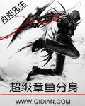 章鱼分身流