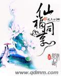 仙福茶业903价格礼盒