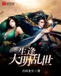 明末开封一秀才 txt