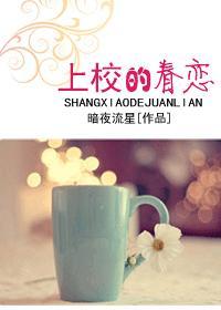 上校的眷恋高干文