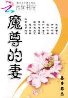 魔尊宠妻忙免费阅读