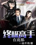 终极高手俏总裁