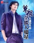 什么叫草根明星?