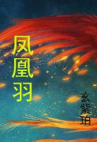 凤凰羽毛球