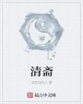 清斋主人画家
