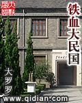 铁血大民国 精校