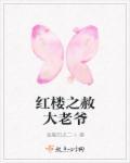 红楼之大老爷要