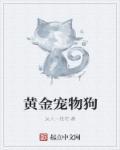 黄金神龙图片大全