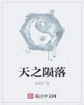 陨落之梦作品