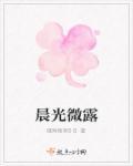 晨光微露是什么时候