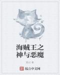 海贼王之神魔系统