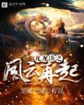 九龙决之风云再起百度百科
