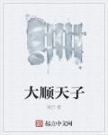 大清天子之顺治王朝