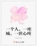 一个人一座城一生心疼翻译