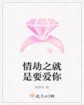 情劫是什么意思是什么