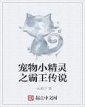 gameboy 宠物小精灵