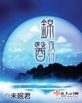 锦医夜行未眠君免费阅读