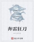 奔雷狂刀什么样子
