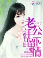 诱妻入怀老公深深爱免费阅读