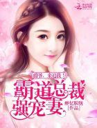 请轻撩全文免费阅读