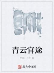 一路官场