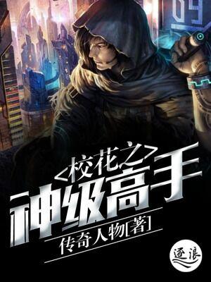 神级高手都市行淮南楠