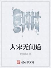 无间道大b