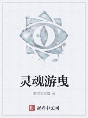灵魂游戏视频