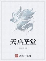 天启圣契骑