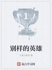 别样的英雄全文阅读
