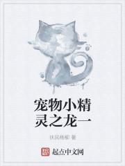 宠物小精灵之龙系天王