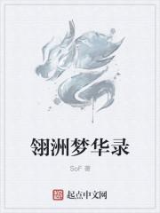 梦华录是哪个朝代