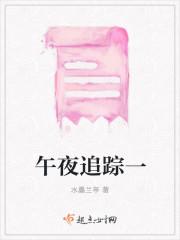 午夜迷踪1