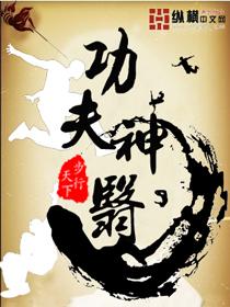 功夫神医林枫韩若冰全文免费阅读