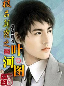极品颠覆之叶河图全集