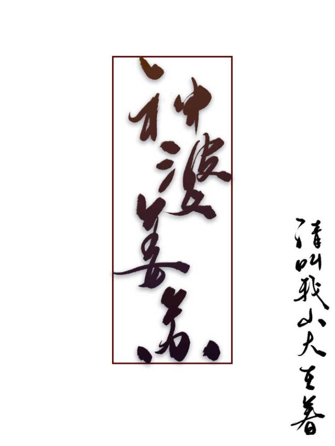 神婆姜苏txt书包网